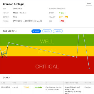 Peak Flow Metre Chart